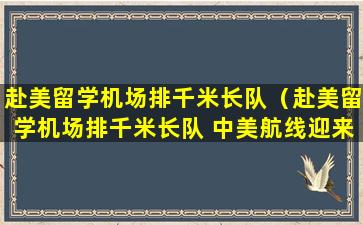 赴美留学机场排千米长队（赴美留学机场排千米长队 中美航线迎来高峰期）